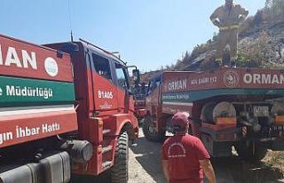 Düzceli ormancılar yangın söndürmede büyük...