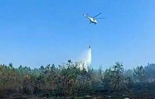 Edirne’de orman yangını kontrol altına alındı