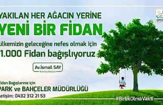 Edremit Belediyesinden yanan ormanlar için fidan...