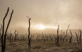EGİAD Yönetim Kurulu Başkanı Yelkenbiçer: “İklim...
