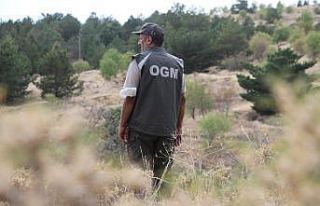 Elazığ’da, ormanlık alanlarda sıkı denetim