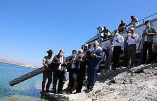 Elazığ’dan 18 kente 12 milyon yavru sazan balığı...