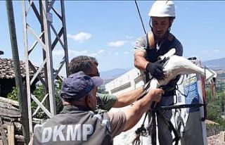 Elektrik direğinde takılı kalan yavru leylek, yeniden...