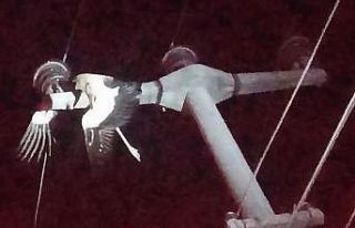 Elektrik tellerine takılan leylek yangına neden...