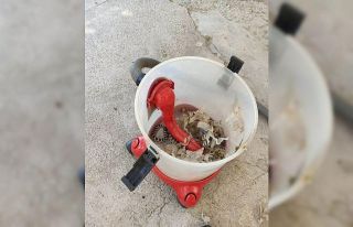 Elektrikli süpürgeden yılan çıktı