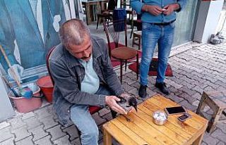 Elleriyle besledikleri karga yanlarından ayrılmıyor