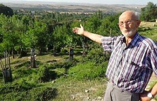 Emekli memur, köy arazisine 500’e yakın meyve...