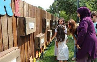 Endemik bitkiler arasında unutulmaz yolculuk