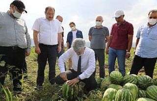 Erzincan’da hasat dönemi