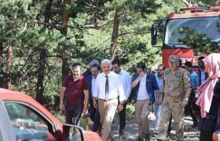 Erzincan’da ormanlık alanda çıkan örtü yangını...