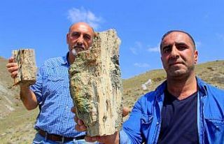 Erzurum’da 160 milyon yıllık keşif