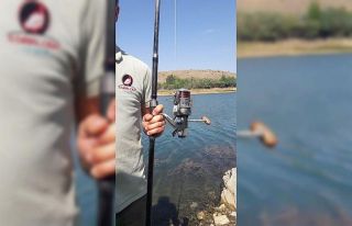 ESBALDER orman yangınlarına karşı uyardı