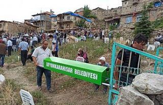 Eşini ve 2 yaşındaki oğlunu öldürüp intihar...