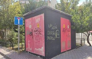 Eskişehir’de spreyle boyanan trafolar görüntü...