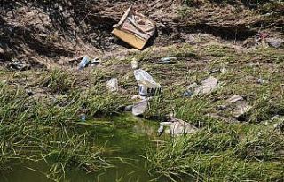 Eskişehirli vatandaşlar bu pislikten bıktı