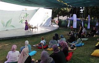 Evde ilk yardımda kullanılabilecek bitkiler