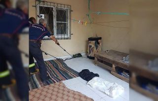 Eve giren yılanı itfaiye çıkardı