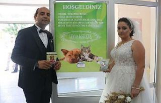 ’Evet’ dediler, mama dağıttılar