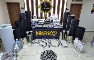 Evin bodrumunda 589 kök kenevir yetiştirdi