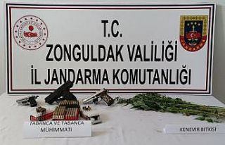 Evinde  kenevir yetiştirirken yakalandı