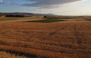 Evinde ürettiği bakteri ile tarımsal üretimini...