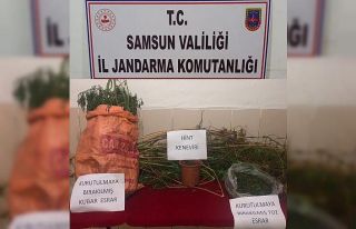 Evinde uyuşturucu ve kenevir ele geçen şahıs tutuklandı