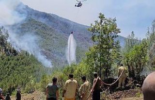 Eynif Ovasına inen yangın, yaban hayatını da etkiliyor