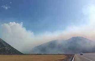 Eynif Ovası’nda dumanlar yeniden yükseldi