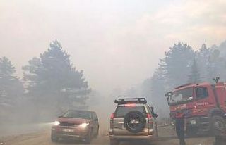Eynif Ovasında yangının 7’inci gününe girildi