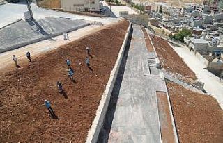 Eyyübiye Belediyesi ilçeye yeni yeşil alanlar kazandırıyor