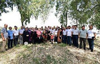 Festivale katkıda bulunanlara plaket