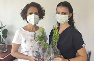 Fidan dikimine öncülük etti