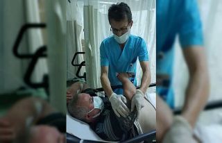 Fındık bahçesinde tüfekle vuruldu