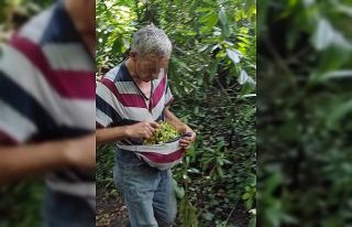 Fındık hırsızını köylüler yakaladı