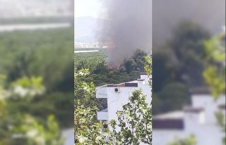 Finike’de sazlık alanda çıkan yangın kontrol...