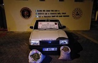 Fıstık hırsızları suçüstü yakalandı