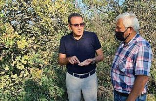 Fıstık kenti olma yolunda ilerleyen Karabük’te...