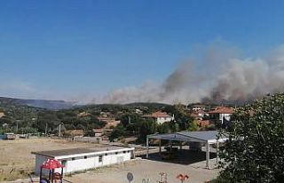 Foça yangını kontrol altına alındı