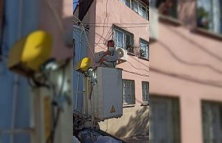 Gdz ekipleri elektrik direğinde mahsur kalan kediyi...