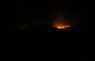 Gece 4 helikopter devreye girdi, Bodrum’da yangın...