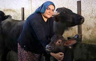 Gelin geldiği köyde çiftlik kurdu