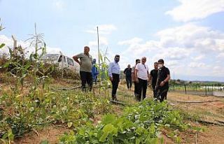 Gemlik Belediyesi ikinci serayı kuruyor