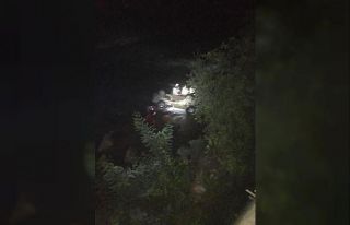 Giresun’da otomobil dereye uçtu: 1 ölü