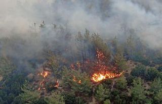 Gökbel Dağları alev alev yanıyor