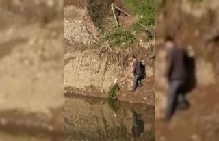 Gölete düşen yavru köpeği elleri ile kurtardı