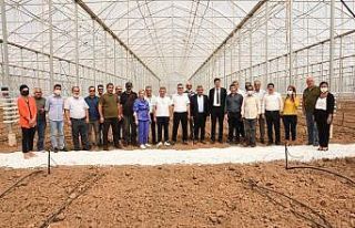 Gönen’de yetiştirilen muz dünyaya ihraç edilecek