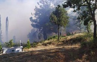 Gördes’te arazide çıkan yangın ormana sıçradı