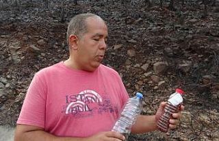 Gözü gibi bakarak biriktirdiği 4 bin ağaç tohumunu...