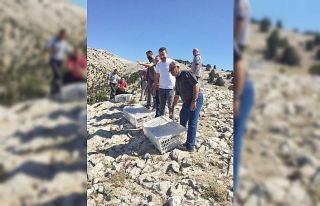 Günyüzü ilçesine 500 kınalı keklik salındı