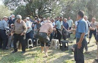 Güreşsever baba oğullarının sünnetinde yağlı...